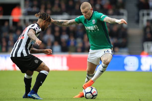 郭陈组合的 郭陈组合的