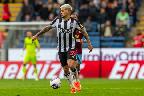 新力量崛起 新力量崛起